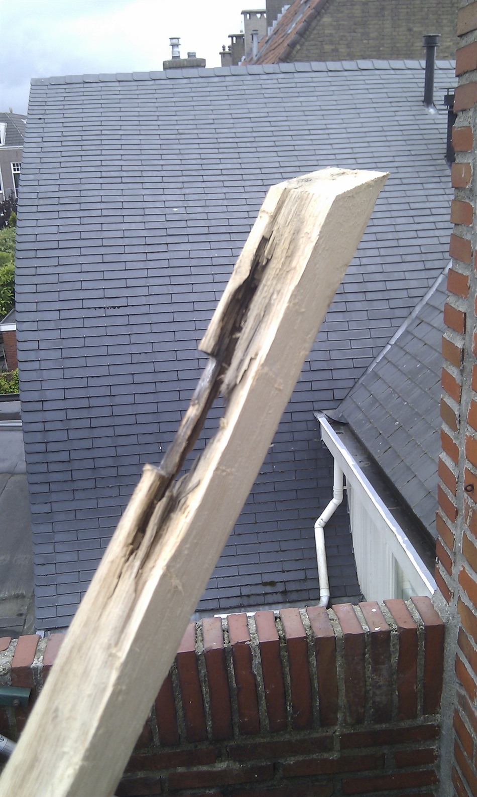 deel van rotte hout