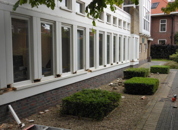 Houtrot verwijderd