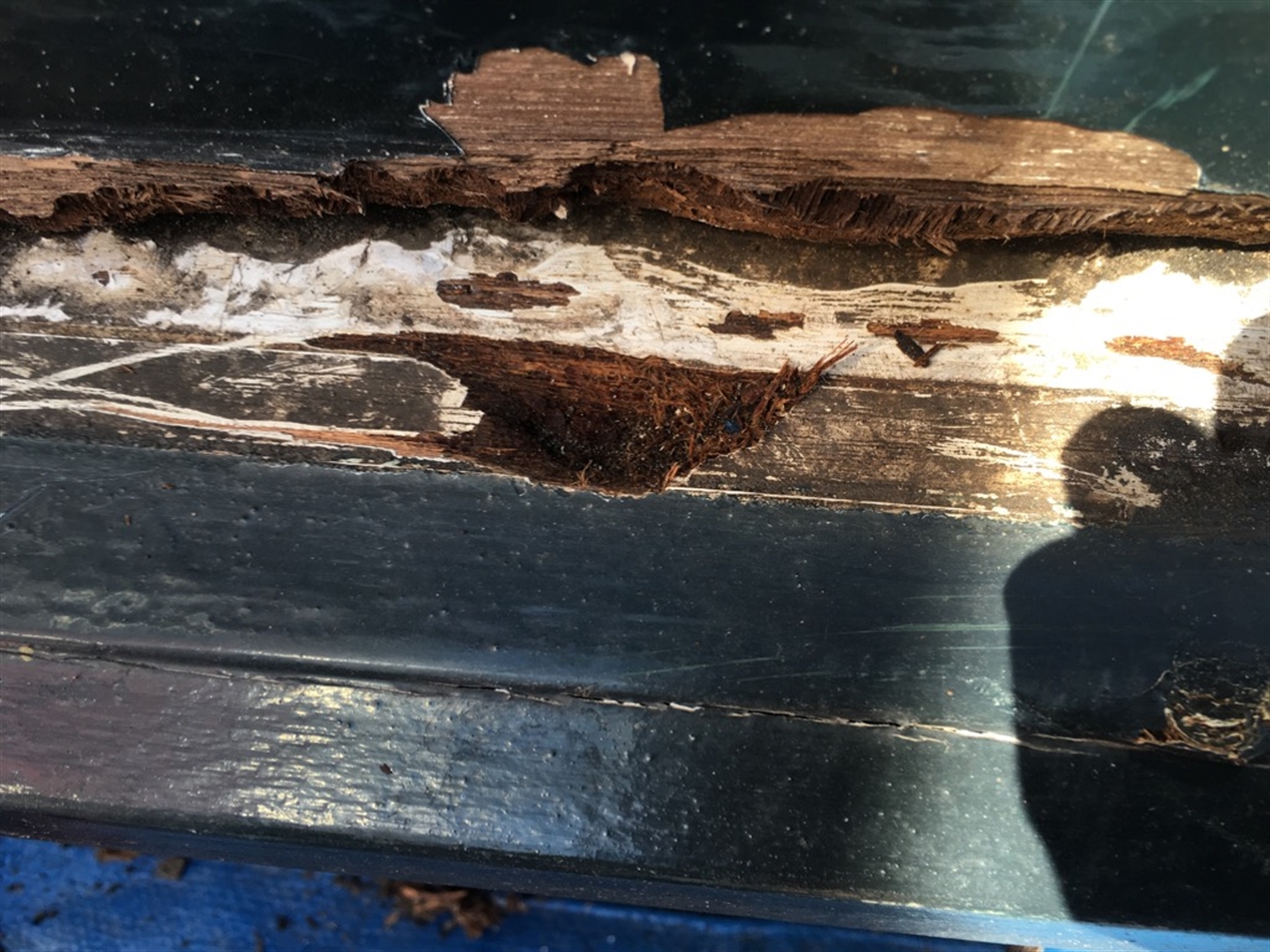 Houtrot plekje ontstaan door een schroef waar de aluminium ventilatieprofiel mee vast zat. Water loopt via het schroefgat naar beneden en dankzij de schroef in het hout.