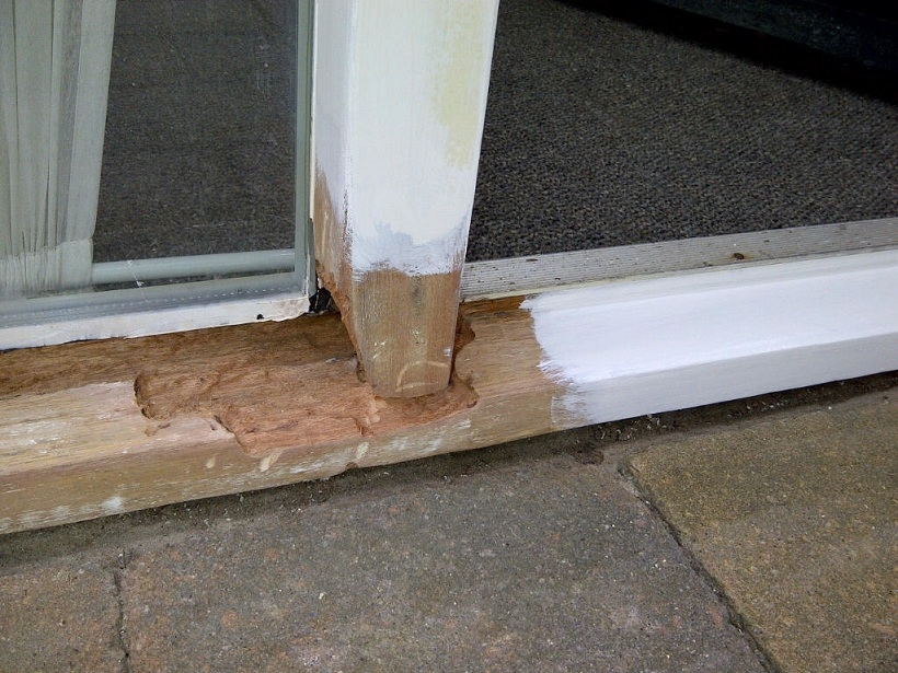 Aangetast hout moet dan ook volledig worden weggefreest.