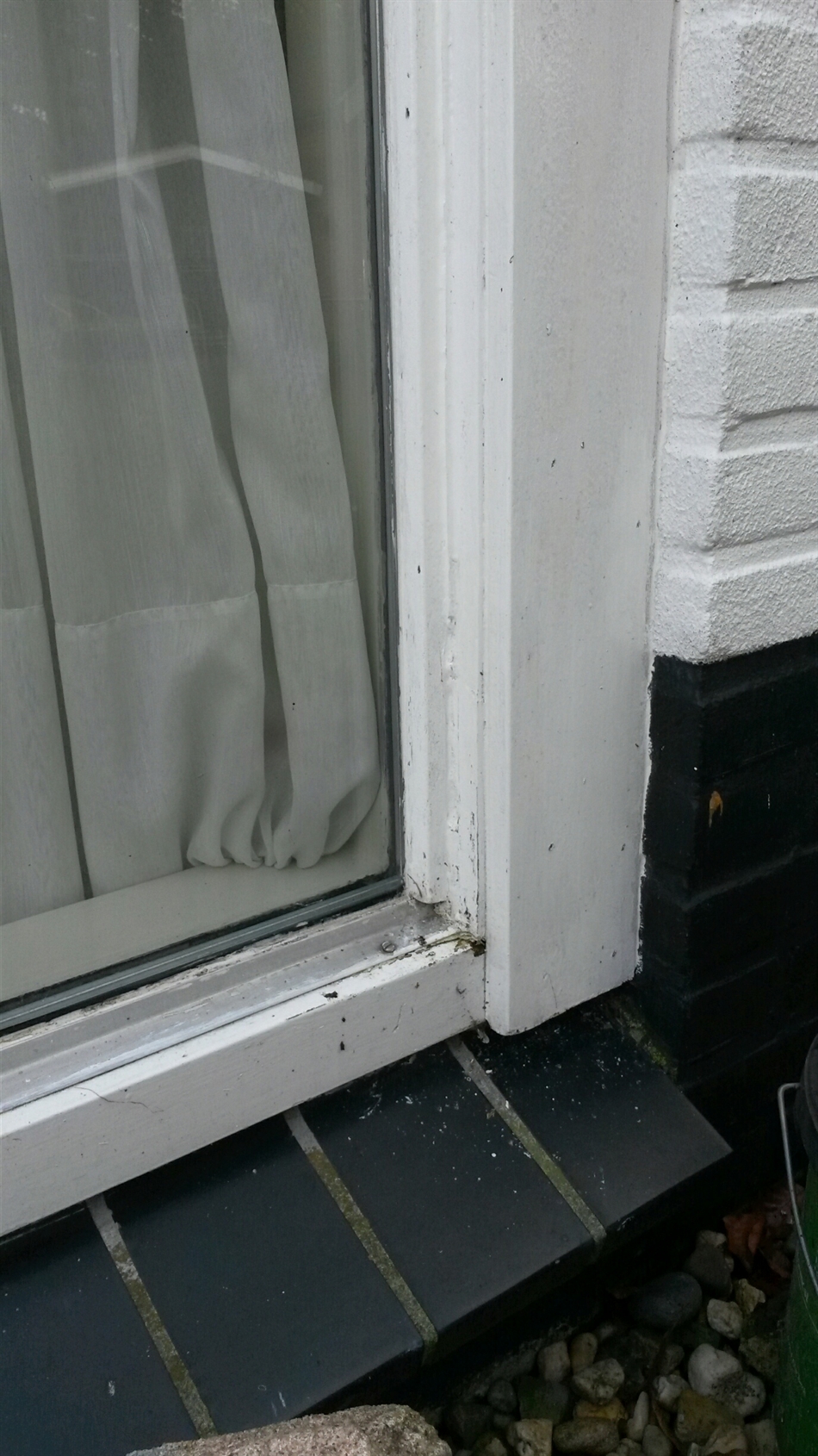 voor het glasvervangen