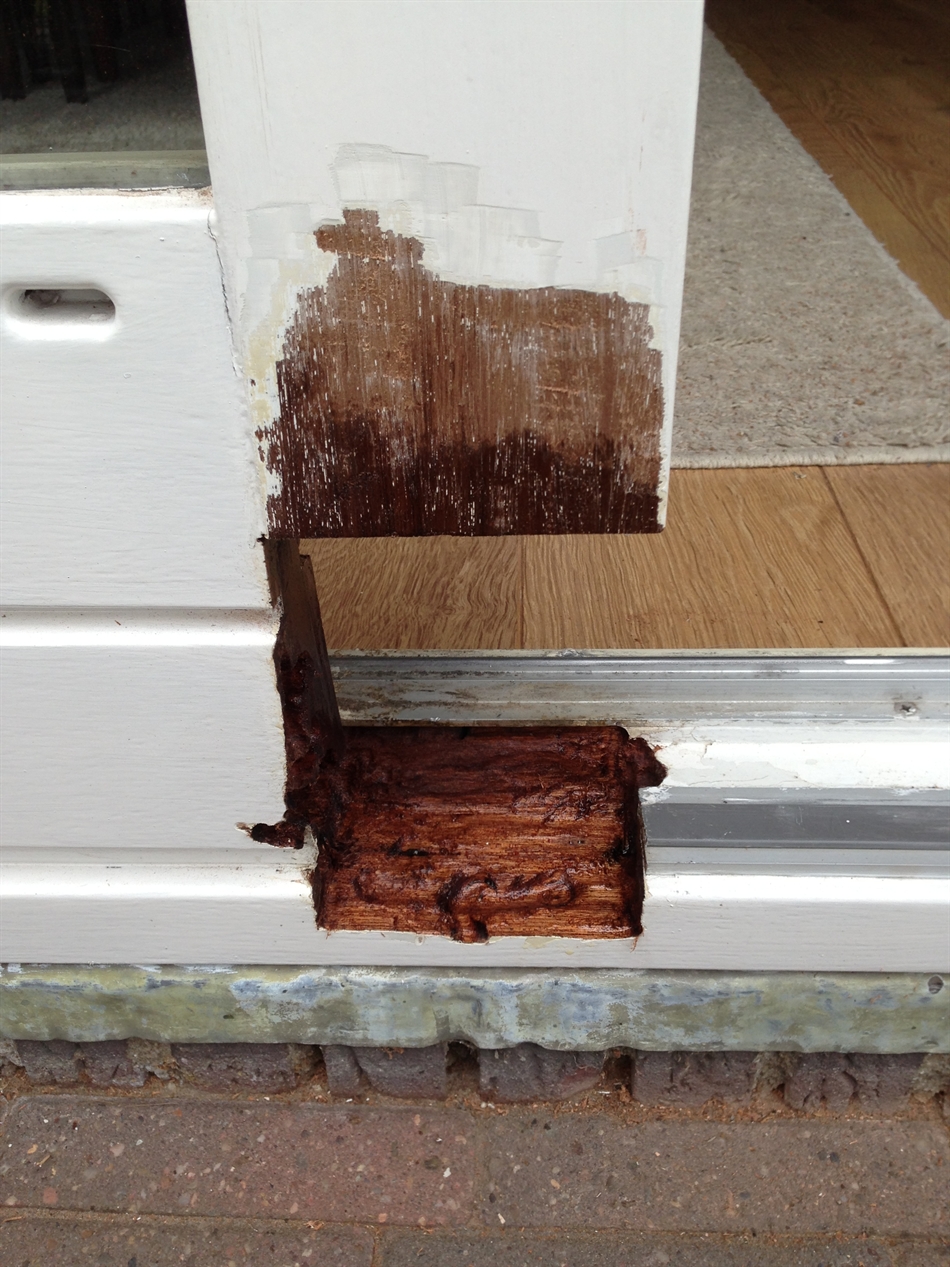 weggezaagd en gefreesd tot het gezonde hout.. gefixeerd met dry fix 4