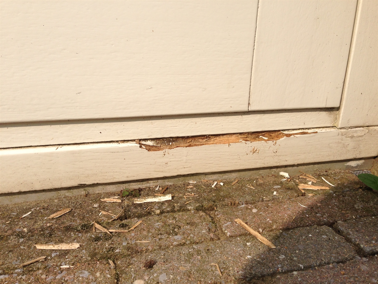 Zacht, verweerd hout