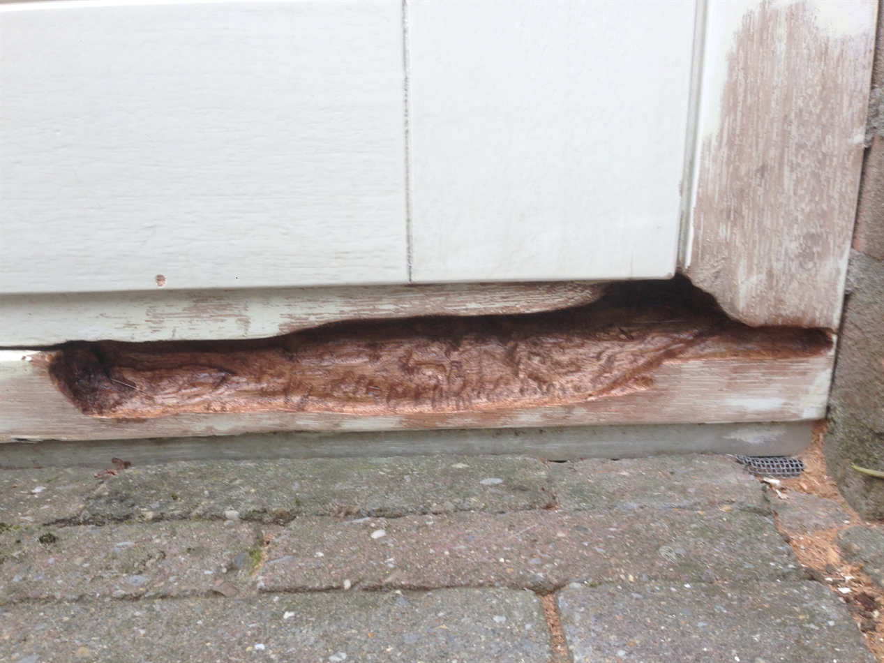 Na controle van het vochtgehalte de Dryfix aangebracht.