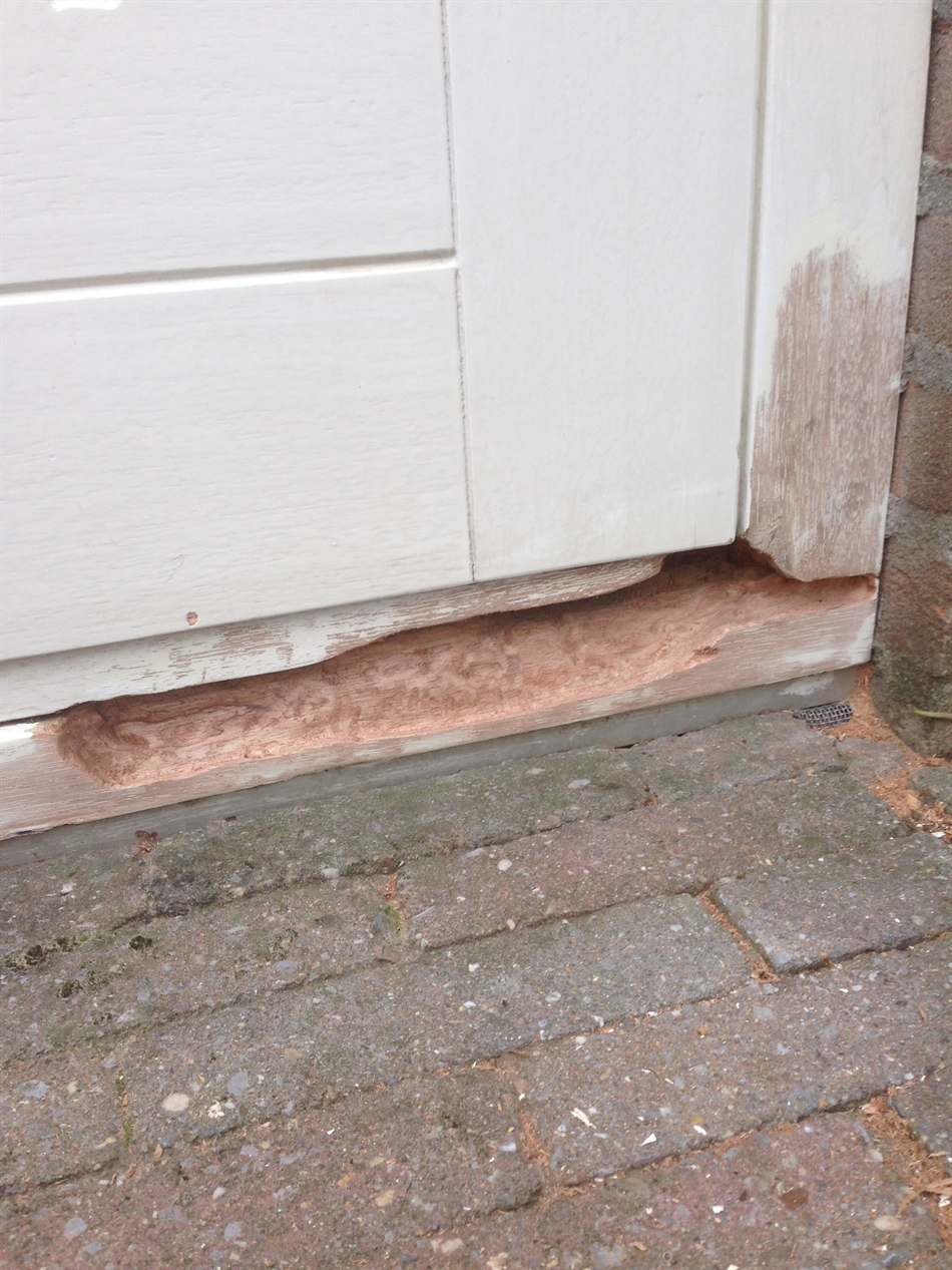 Verweerd en te zacht hout uitgefreesd
